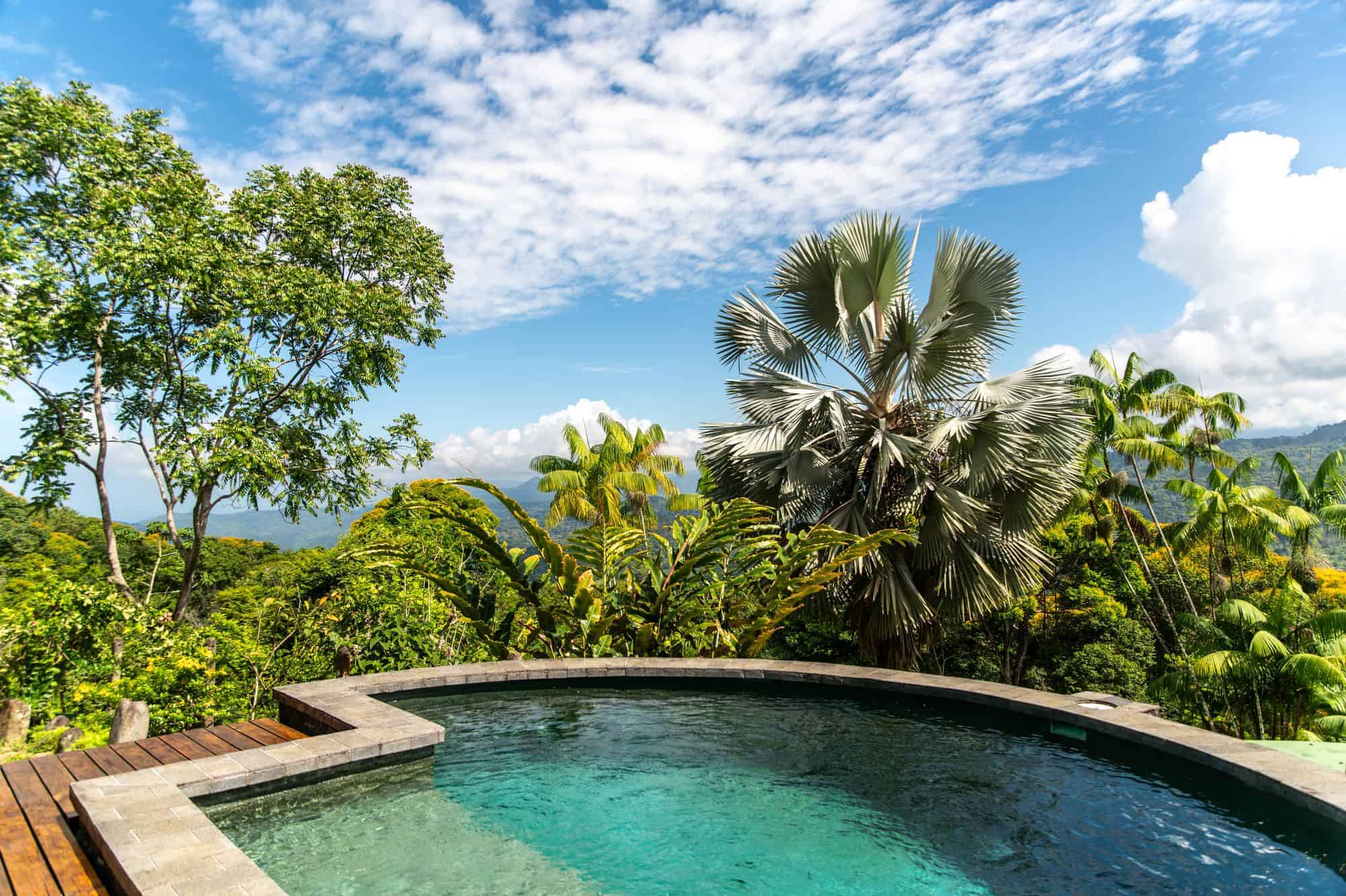 Infinity pool overlooking the jungle valley at Airborne Arts Costa Rica