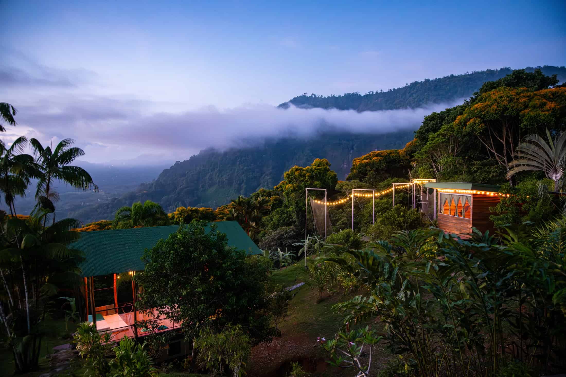 The Airborne Arts property at twilight: jungle, mountains and the open-air aerial deck lit with bistro lights