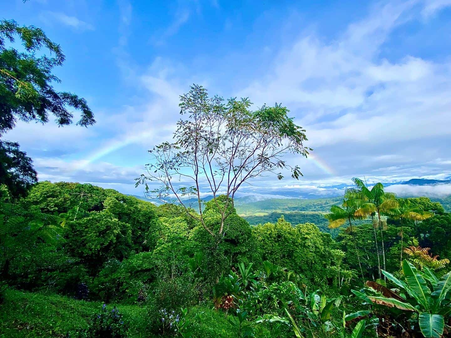 Double rainbow over jungle valley at Airborne Arts Costa Rica