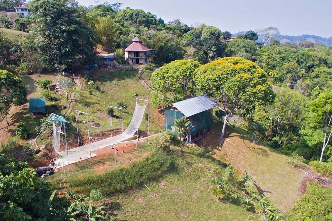 Private one-on-one aerial training at Airborne Arts Costa Rica