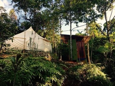 Lotus Belle glamping tent on a raised platform surrounded by lush tropical jungle at Airborne Arts Costa Rica